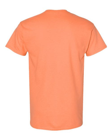 COLOR_NAME=Tangerine | COLOR_HEX=#FF8A3D | IMAGE_TYPE=back | SKU=5000