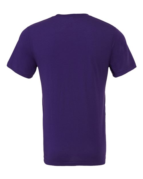 COLOR_NAME=Team Purple | COLOR_HEX=#2E1A47 | IMAGE_TYPE=back | SKU=3001