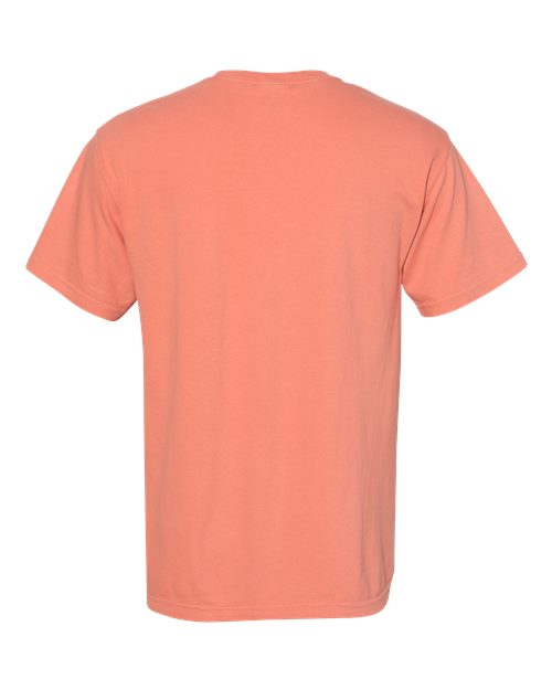 COLOR_NAME=Terracotta | COLOR_HEX=#E3775E | IMAGE_TYPE=back | SKU=6030