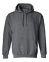 Teeland Adult Hoodie - 2500H